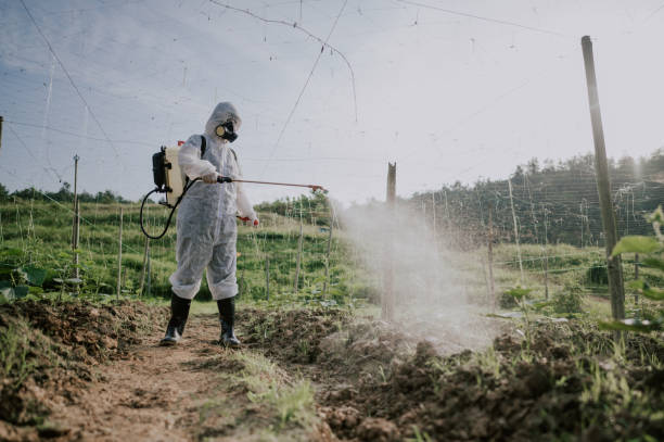 Best Ant Control Services  in Rosita, TX