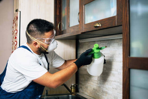 Reliable Rosita, TX Pest Control Solutions