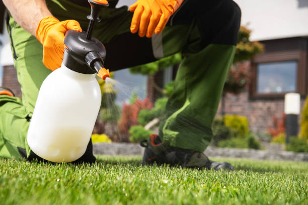 Best Termite Control Services  in Rosita, TX
