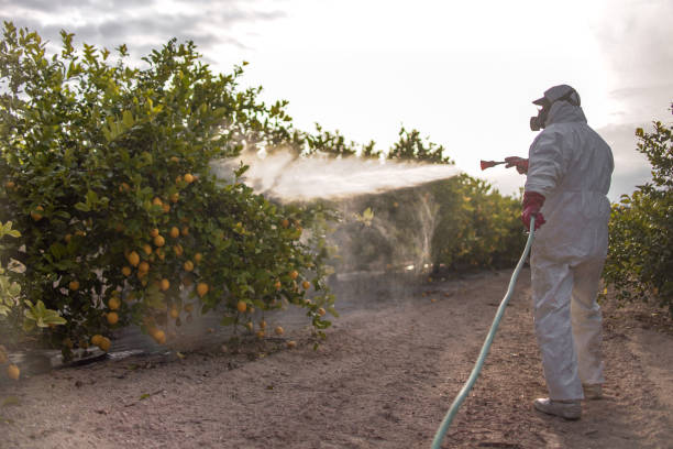 Best Bird Control  in Rosita, TX