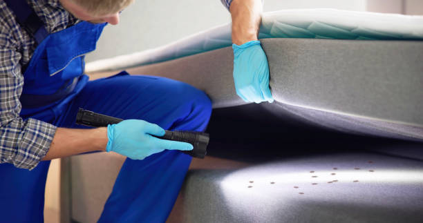 Best Termite Control Services  in Rosita, TX